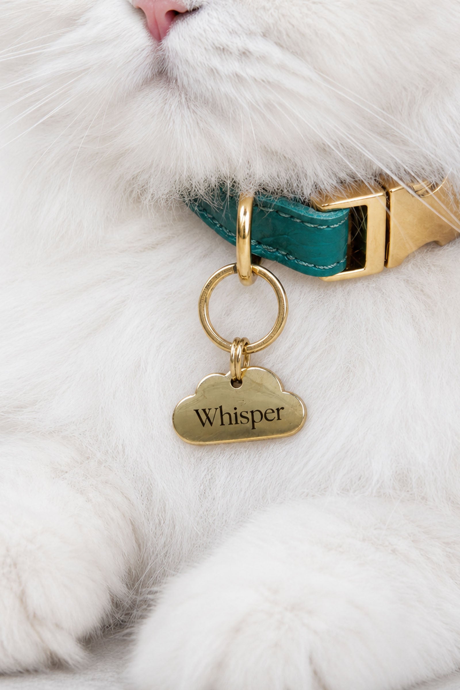 Brass Pet Tag - Cloud