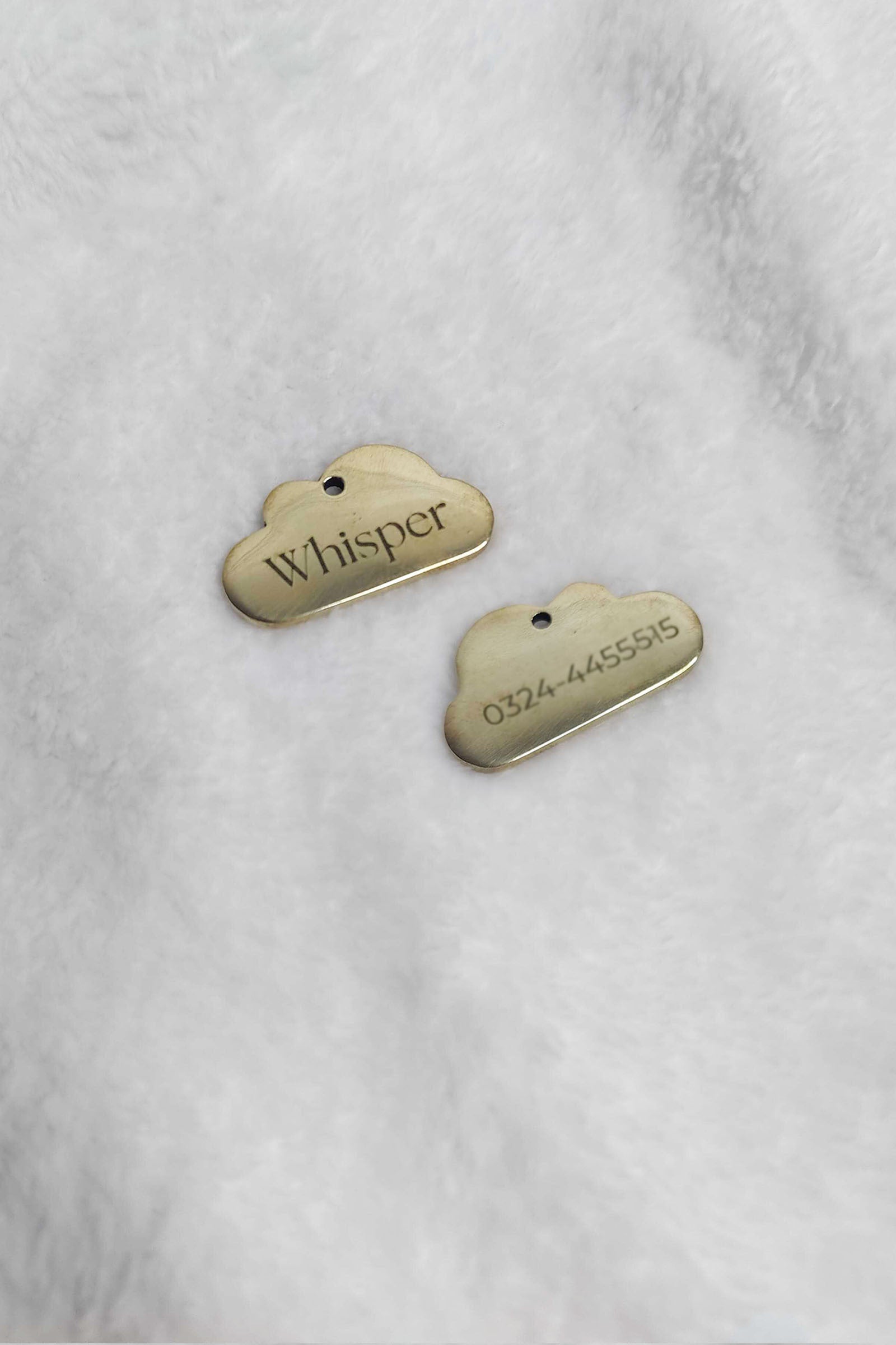 Brass Pet Tag - Cloud