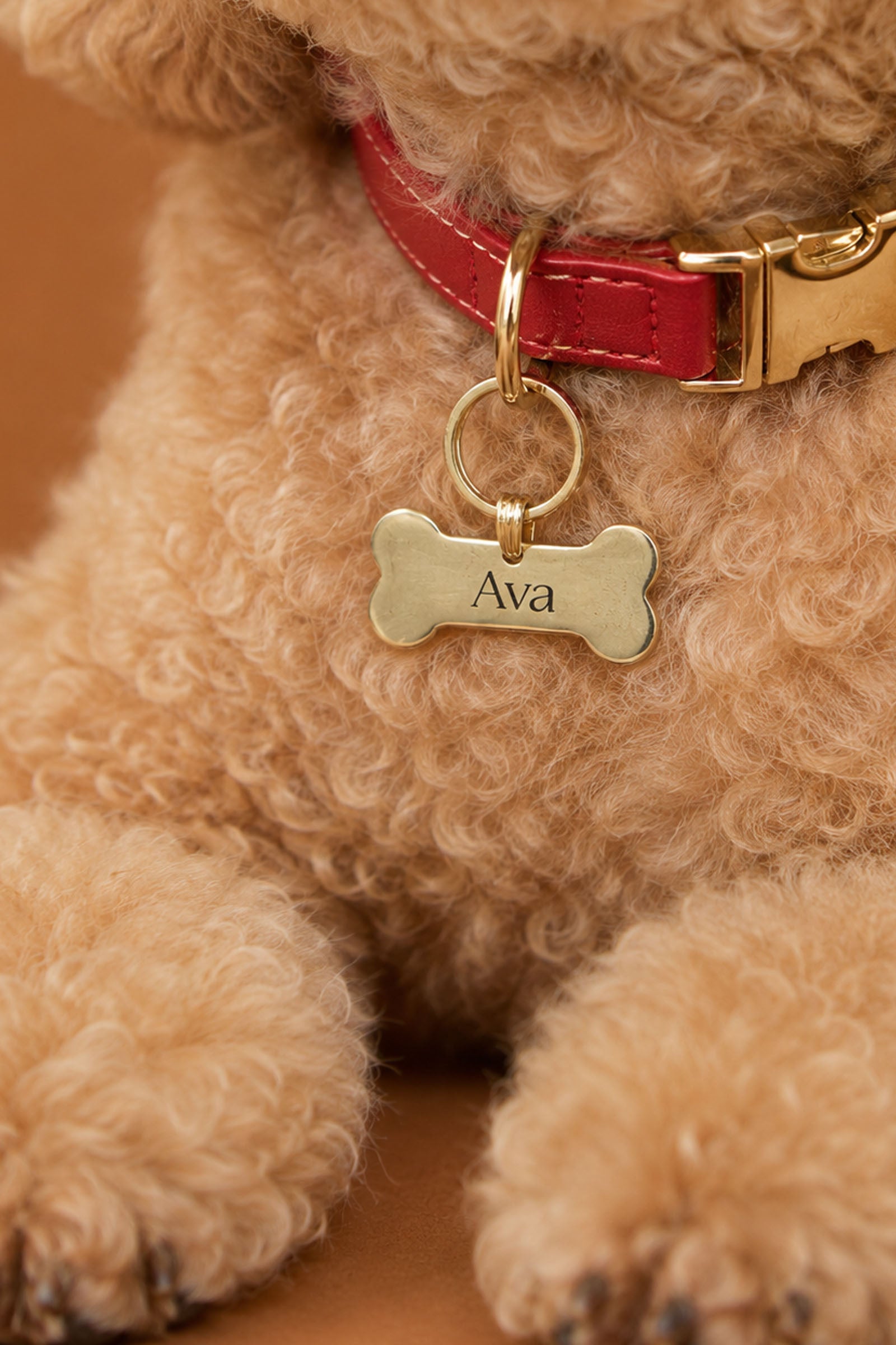 Brass Pet tag - Bone