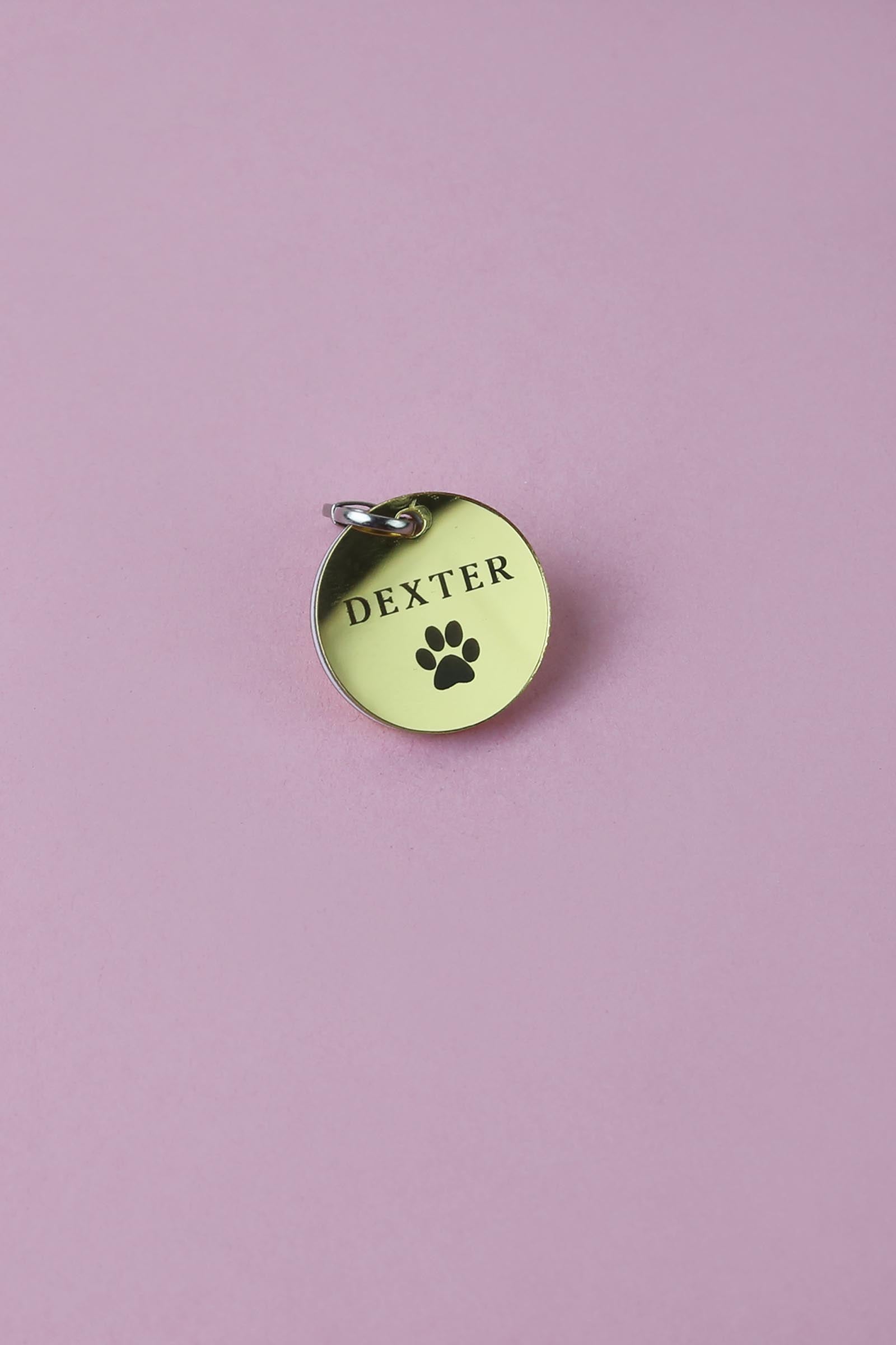 Custom Pet Tag - Golden - Sign & Design